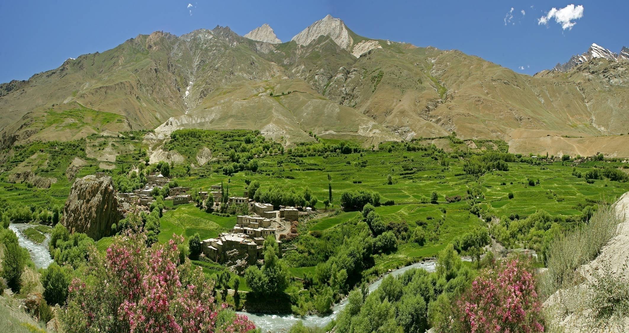 Suru valley (green valley of ladakh)