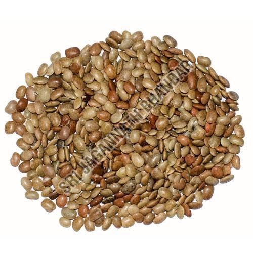 Horse gram - A healthy and incredible Lentil