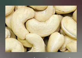 Cashew Kernels – how they are beneficial to your health and business?