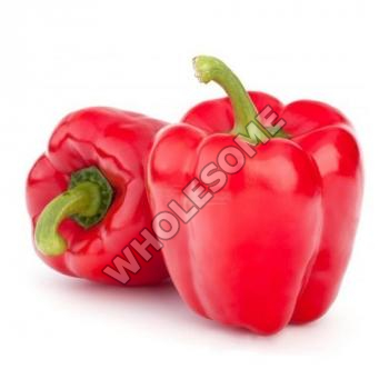 Fresh Capsicum