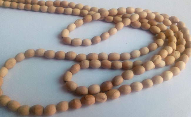 Wooden Oval Beads