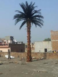 Artificial Date Palm Trees