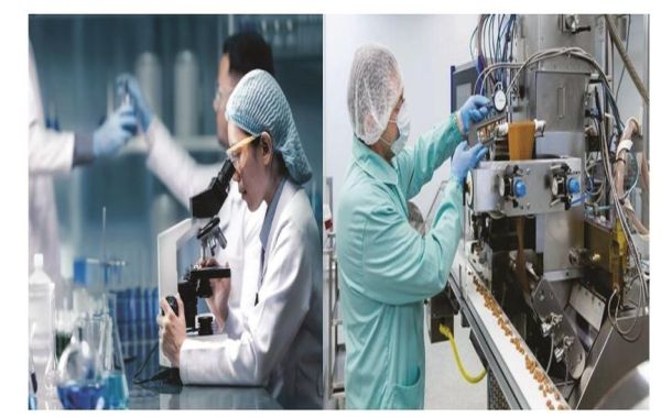 BASICS OF NUTRACEUTICALS AND SUPPLEMENTS  MANUFACTURING PROCESS