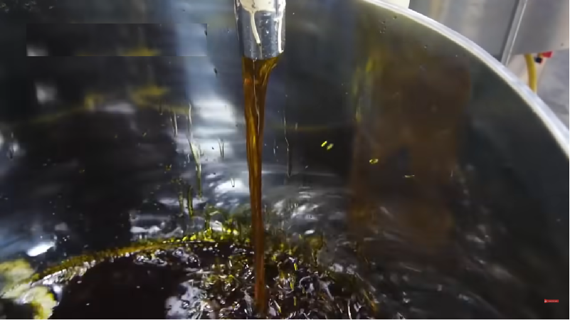 Mustard Oil Purification