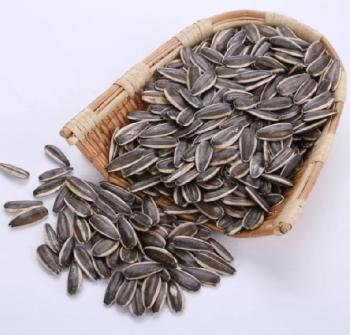 Agro Seeds