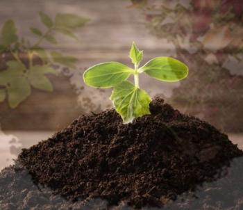 Organic Manure