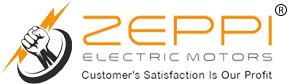 Zeppi Electric Motors Private Limited