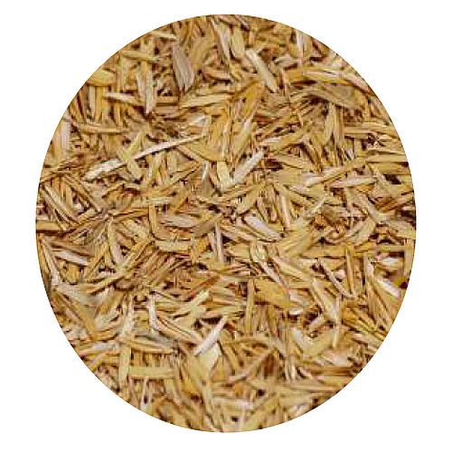 Rice Husk