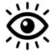 Vision