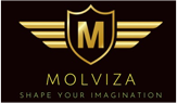 MOLVIZA INTERNATIONAL PRIVATE LIMITED