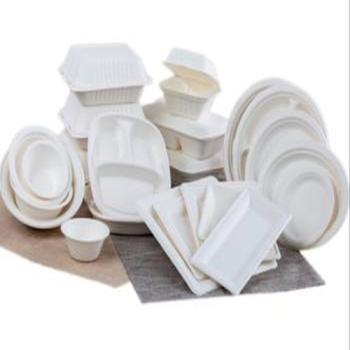 Bagasse Products
