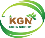 K.G.N Green Nursery