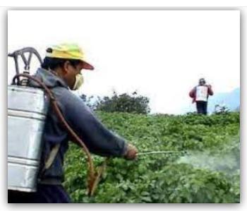 Pesticide & Fertilizer