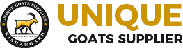 Unique Goats Supplier