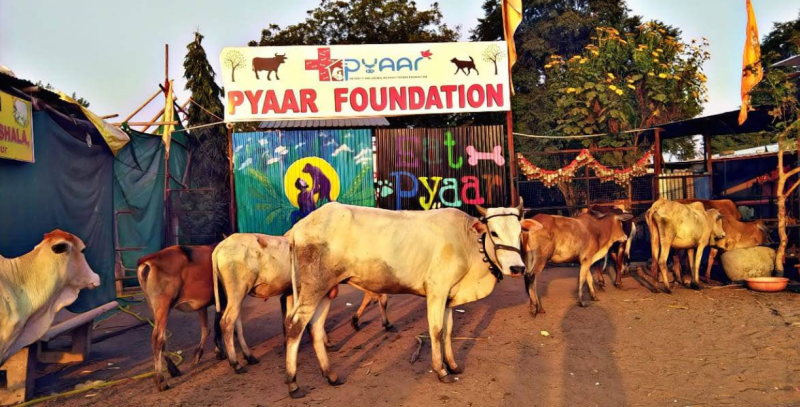 Community Impact