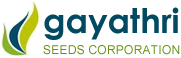 Gayathri seeds corporation