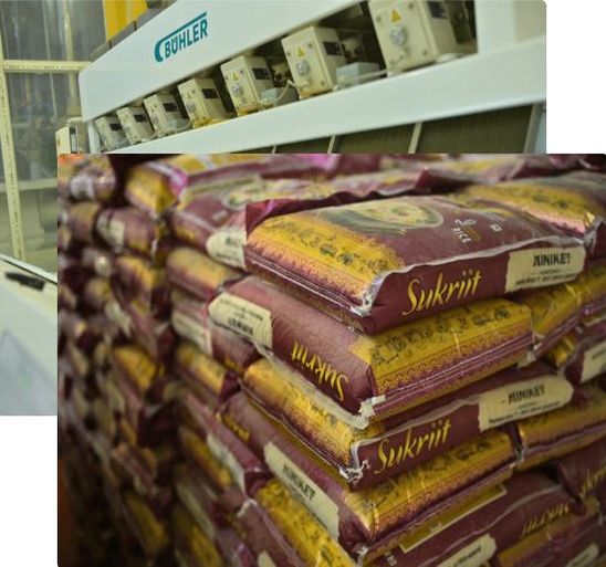 Sukriit Foods Agroe Pvt Ltd