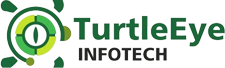 Turtle Eye Infotech Solutions