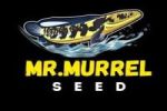 Mr.Murrel Seed