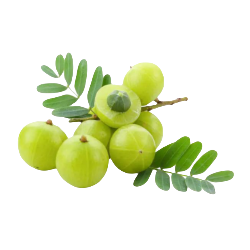 Amla