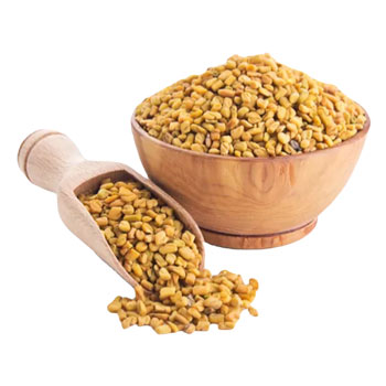 Fenugreek