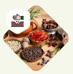 Step - 2 Farm Growing