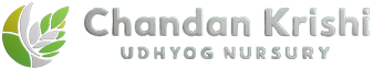 Chandan Krishi Udyog Nursery