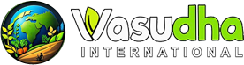 Vasudha International