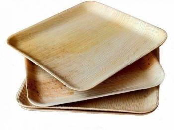 Areca Leaf Plate