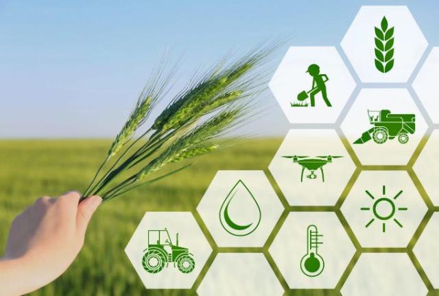 Why Choose AR Exporters