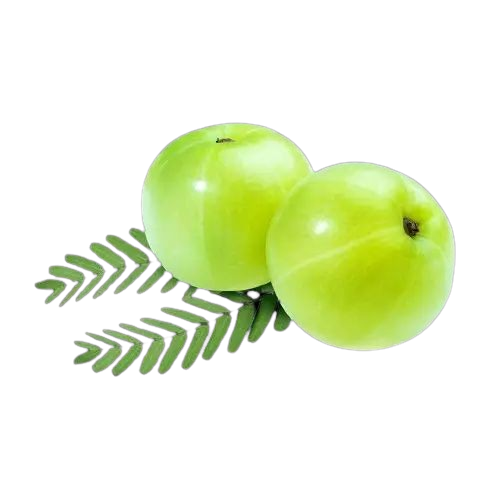 AMLA