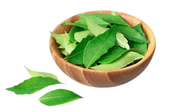 CURRY LEAVES