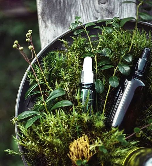 The Top 10 Benefits of Using Herbal Hair Oils for Your Hair and Scalp