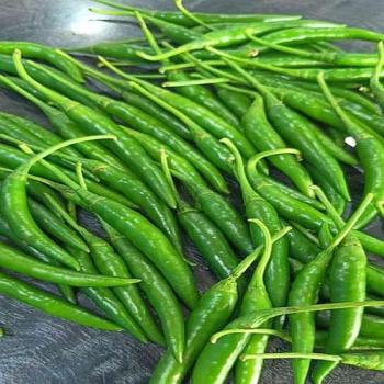 Green Chilli