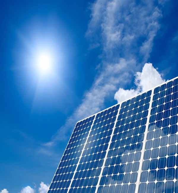 Environmental Sustainable – Forever Green Future