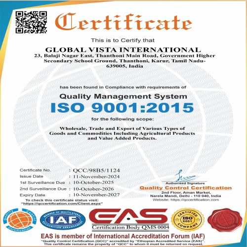 ISO GLOBAL VISTA INTERNATIONAL