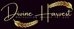 Divine Harvest International LLP