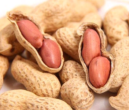 Whole Groundnut