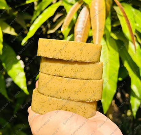 Natural Handmade Neem Soap