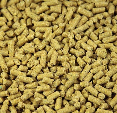 Cattle Feed Pellets