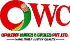 Opulent Wires & Cables Pvt. Ltd.