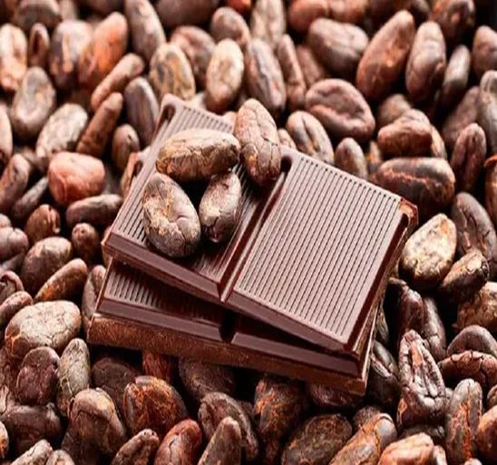Jannish Cocoa Seeds Company