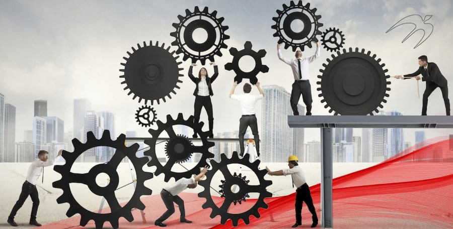 Values and Principles