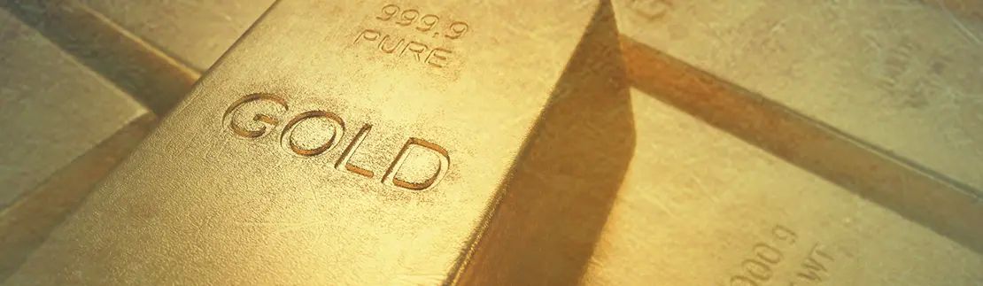 Our Gold Standard for Carbon