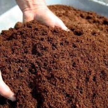Cocopeat Trade Information