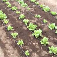 Irrigation System