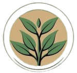 Shree Shyam Trading Company