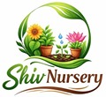 Shiv Nursery