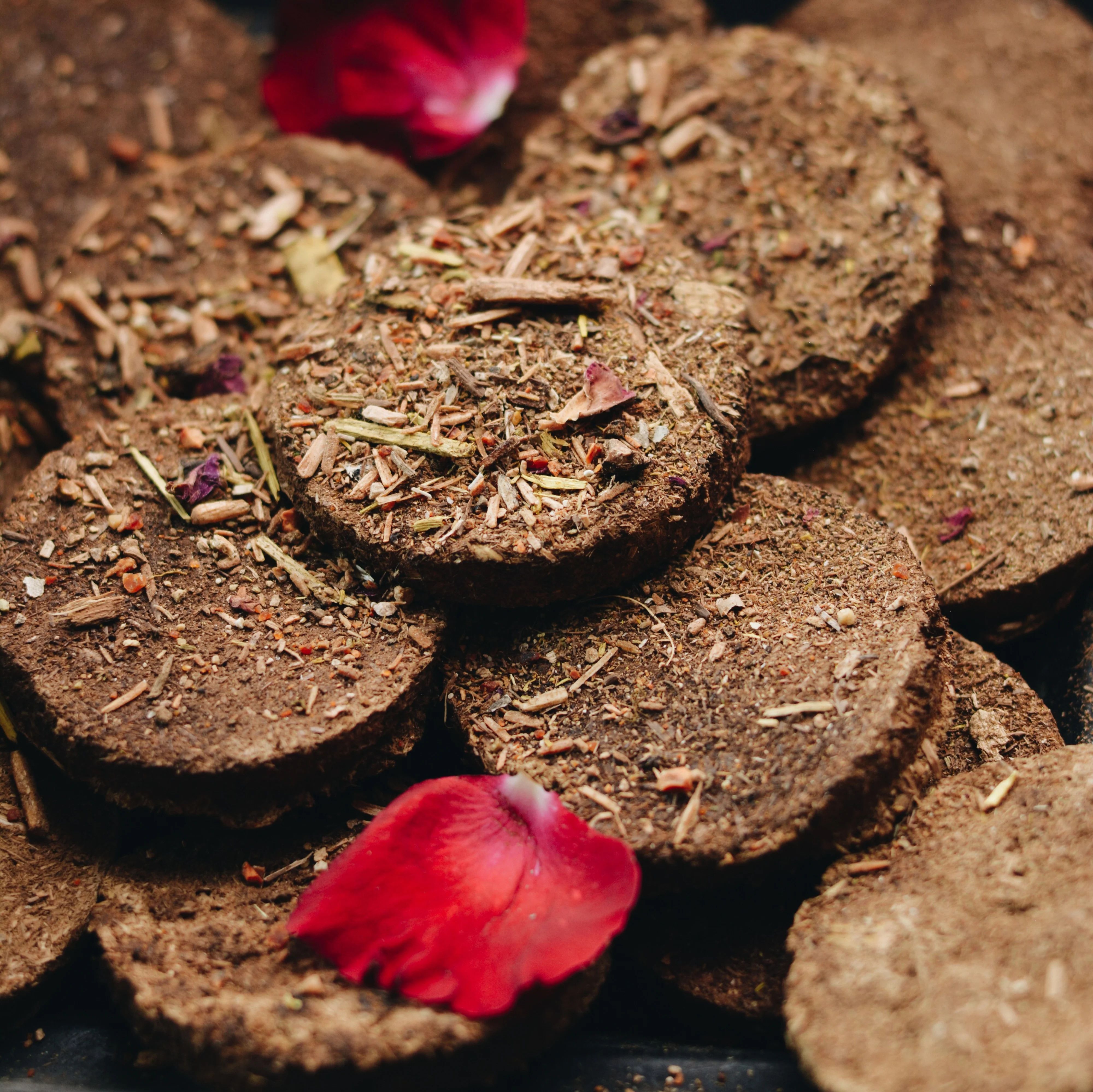 Shiv Energy Enterprise