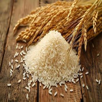 Grains